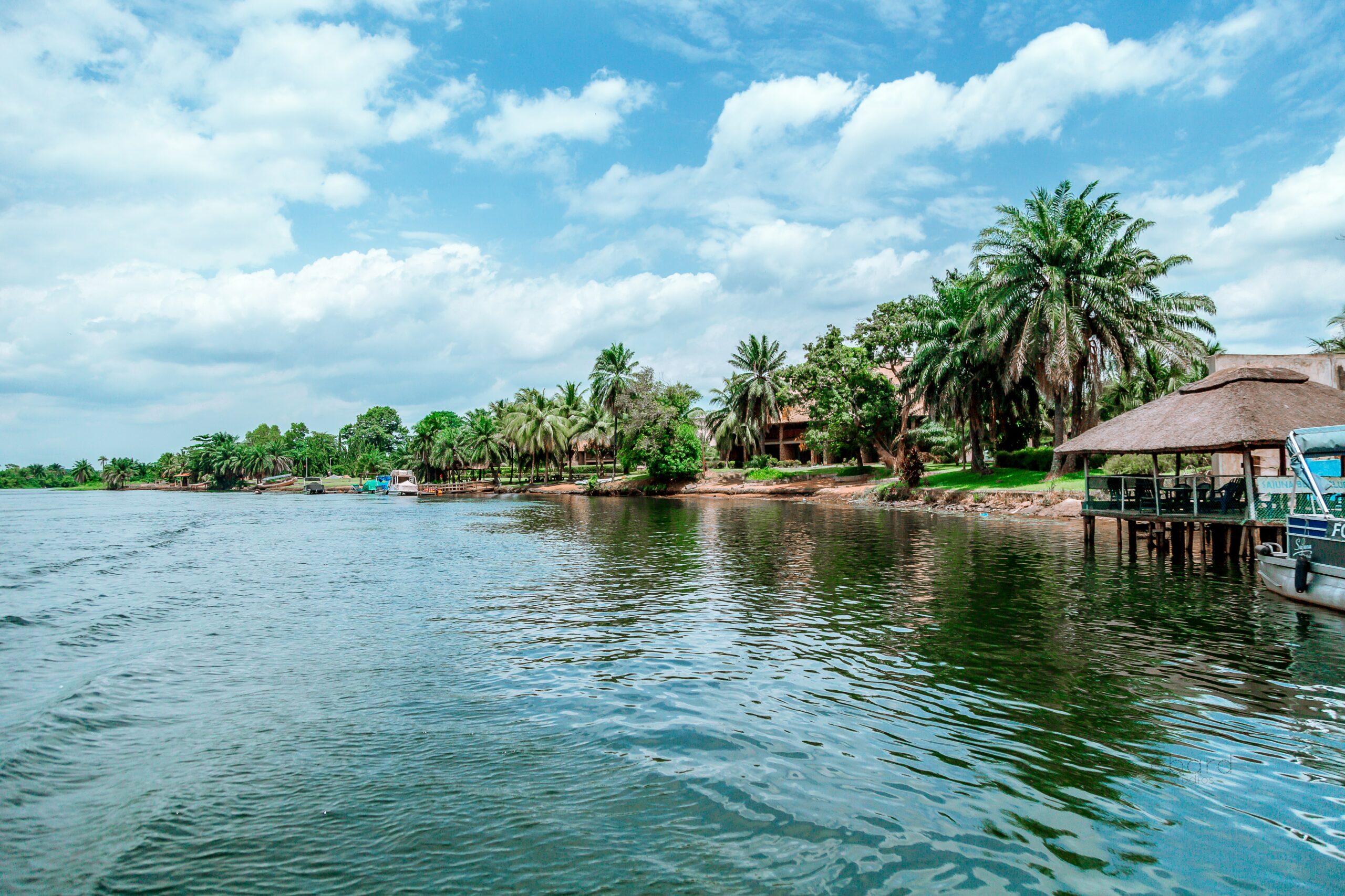 A photograph from the water of